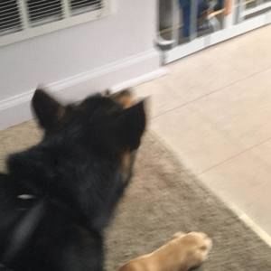 Meet your Posher, Shane